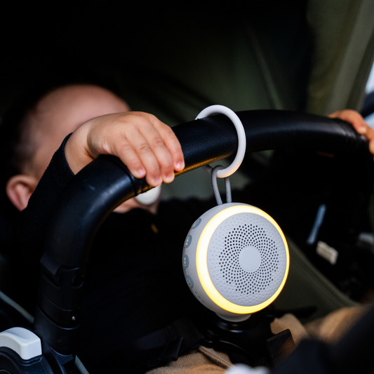 White Noise Højtaler