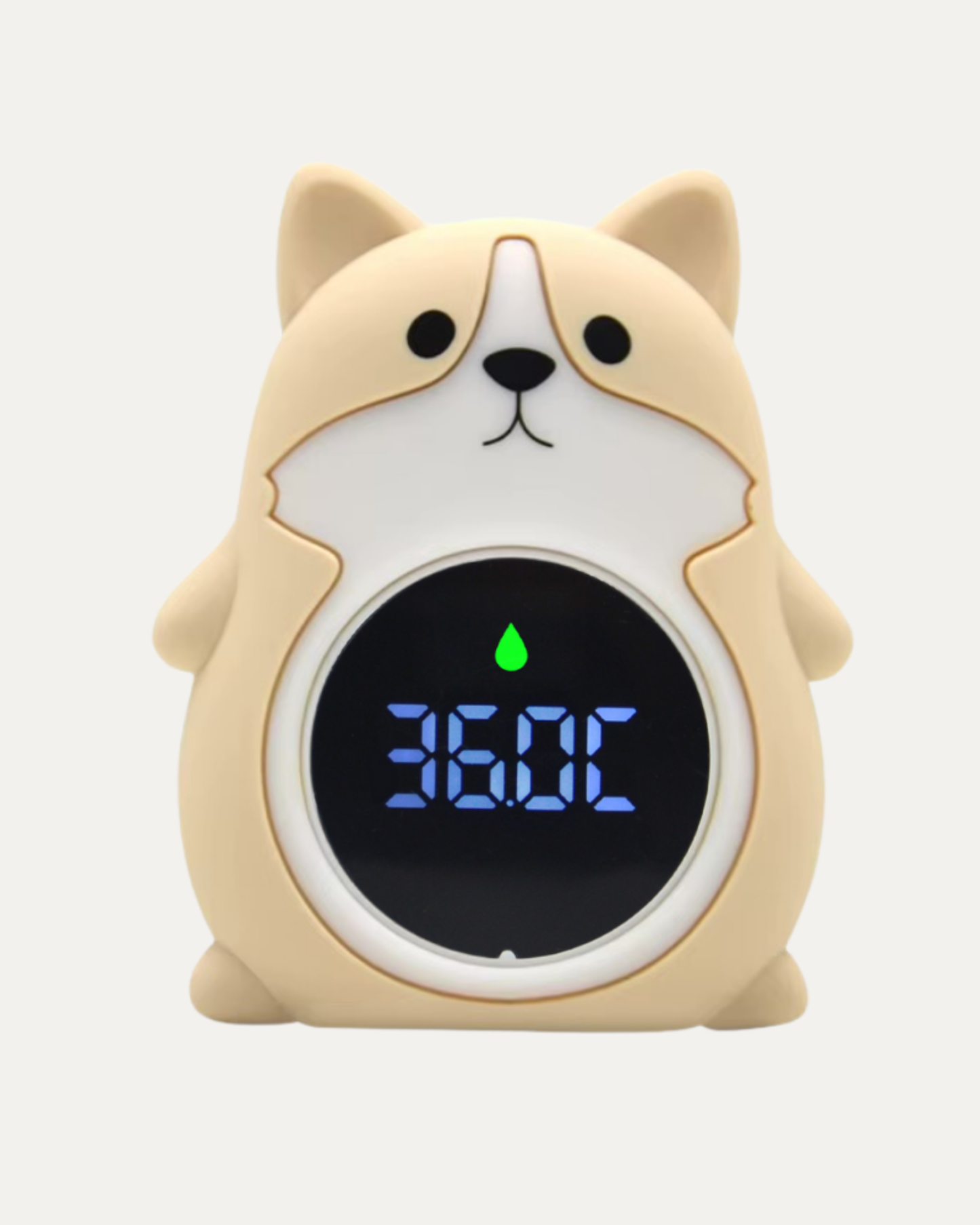 Digitalt badetermometer